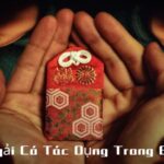 bùa ngải có tác dụng trong bao lâu